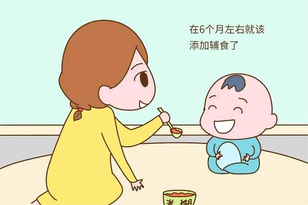6个月大的宝宝适合添加辅食