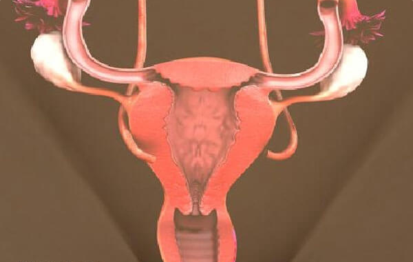 试管移植前子宫内膜b型可以移植吗?内膜形态与移植成功关系不大