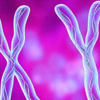 生男生女取决于什么，核心决定因素父亲的性染色体