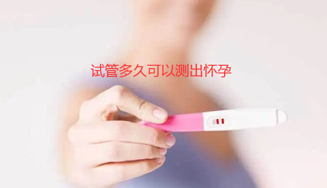 试管多久可以测出怀孕，试管几天能测出怀孕