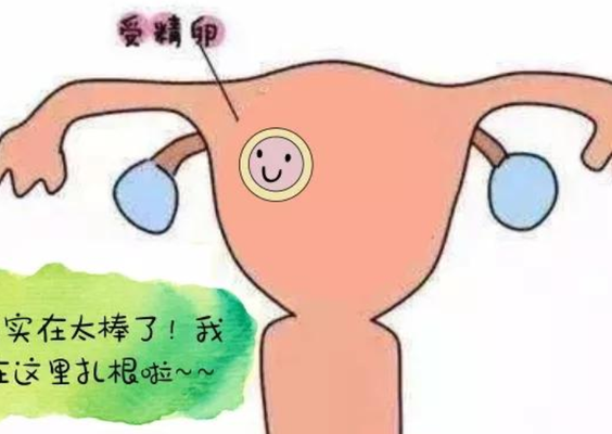 50岁去泰国试管婴儿好吗？过来人帮你梳理全部费用明细