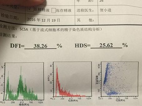 dna碎片率高可以做试管吗？先看数值再决定，别急着放弃