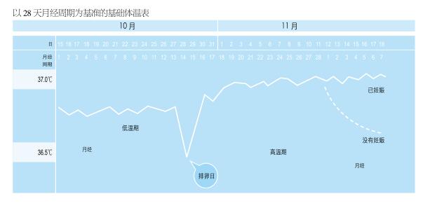 QQ截图20180425142638.jpg