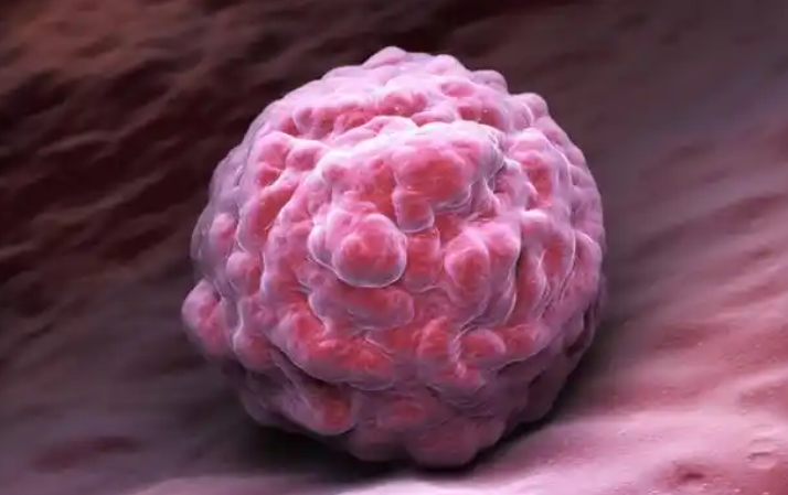 移植后有分泌物不代表着床