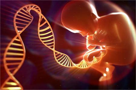 无创DNA可检测染色体异常