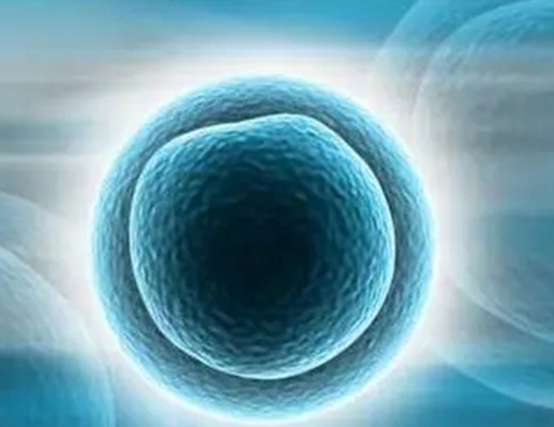 卵子萎缩会导致排卵障碍！闭锁卵泡形成居然和这4点有关！