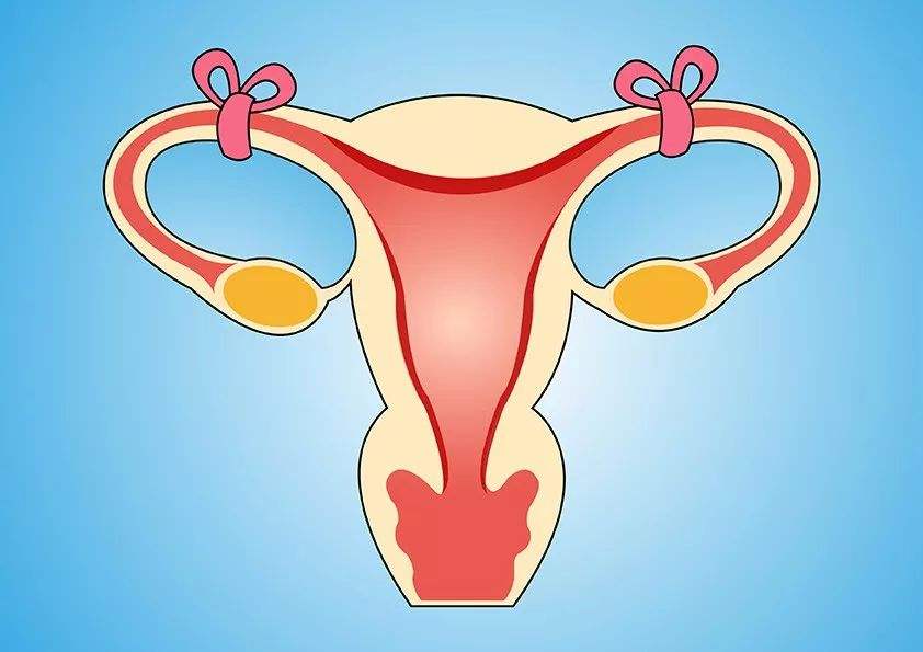 什么是输卵管不孕