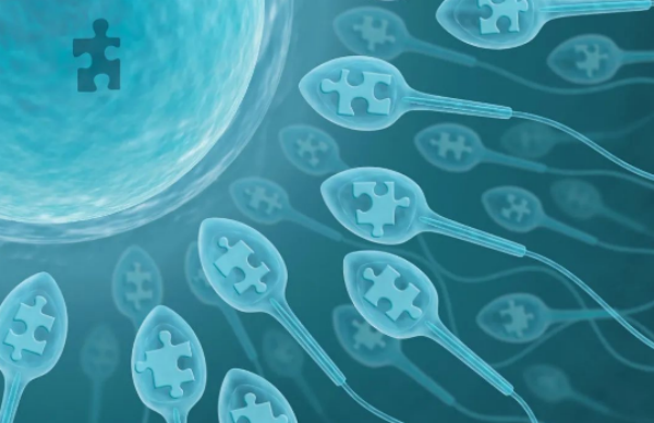 B级精子能自然怀孕