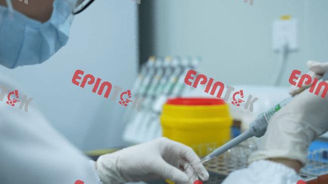 试管机构怎么选?这5个判断维度我亲自验证过