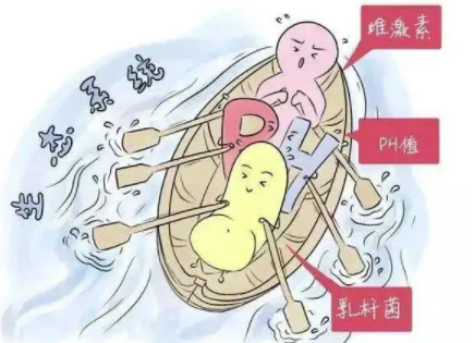 上海代生中心价格上海供卵试管中心排行生产报喜收获一枚小公主上