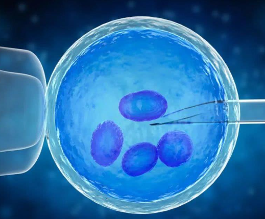 3个卵泡受卵巢功能影响