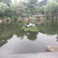 试管婴儿交流群用户头像