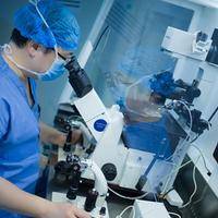 二级胚胎有必要养囊吗?科学评估再决定