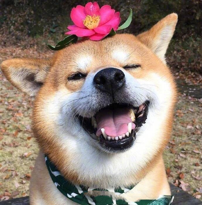相信头像