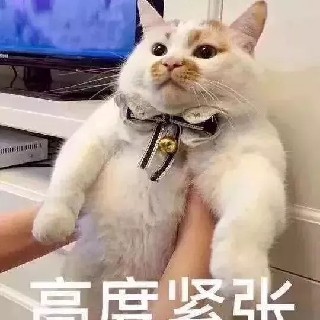 超超头像