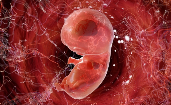 2025蛇宝宝出生月份指南 2025蛇宝宝出生月份指南