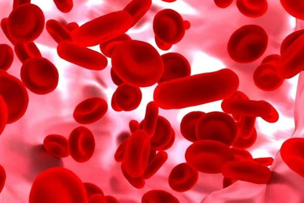 熊猫血是遗传自父母的血型