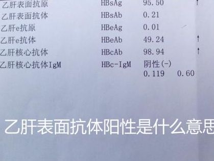 乙肝表面抗体阳性是什么意思？不是乙肝，是身体发的一张护身符