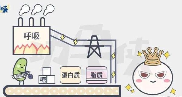 哪个医院试管优质安全，这个问题我劝你先别急着要答案