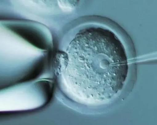 冻胚移植3天后就检测出来了，后期妊娠会比较好吗？