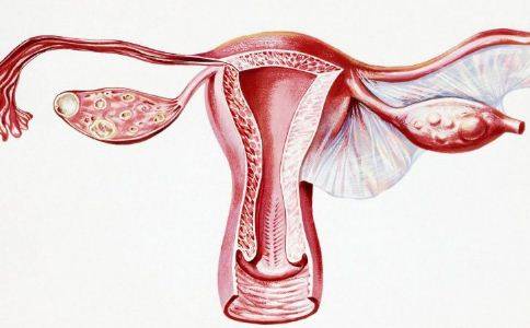 女性子宫内膜越厚，对胚胎移植就越有好处吗？