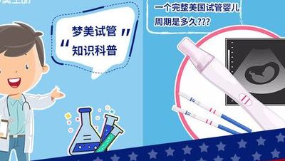 美国做试管婴儿咨询后，我决定再试一次