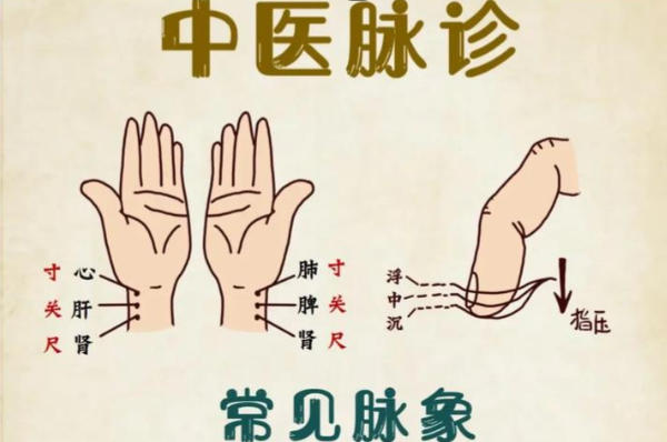 中医把脉胎儿性别准确率不是百分百