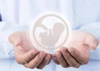 试管婴儿冻胚成功率高，需要具备哪些条件?女性必看!