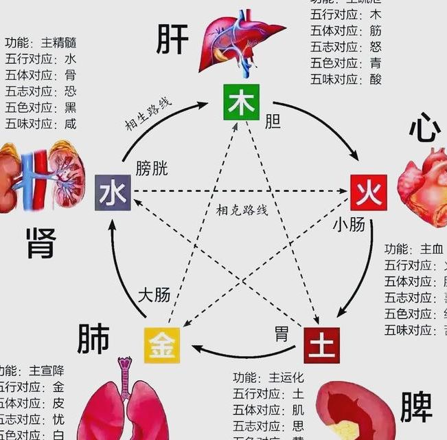 五行相生相克口诀怎么背才不出错？备孕调理先分清相邻相生与隔位相克