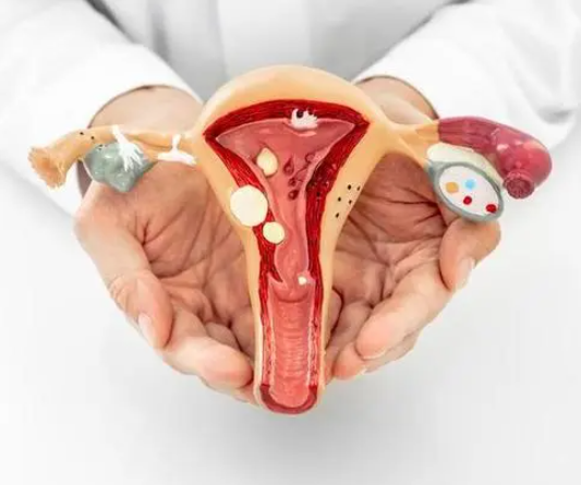 子宫内膜炎会影响胚胎着床