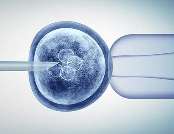试管鲜胚移植第十二天失败有诸多表现，出血是常见症状