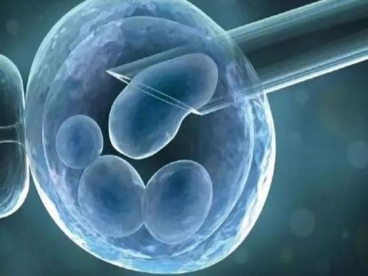 试管3代是什么意思？先看这5个判断维度再决定