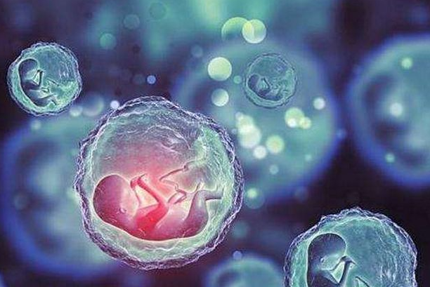 广西南宁做试管医院很多