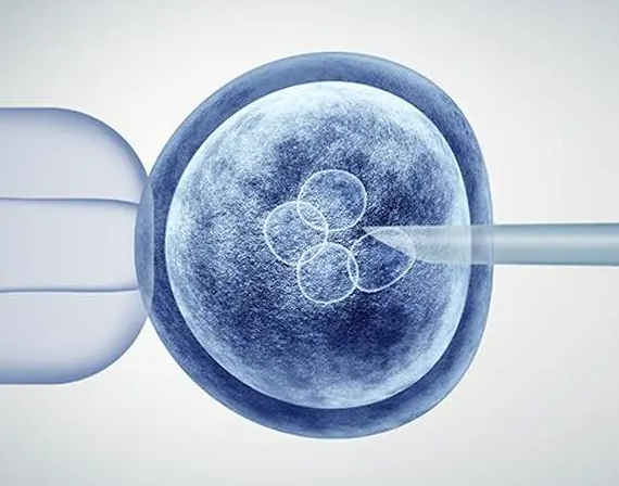 囊胚移植后不一定会做春梦