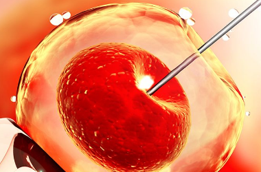 单精子注射的胚胎质量