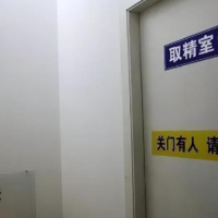 河北代怀孕流程表,(河南省人民医院供卵试管)河北省供卵试管代怀生子医院排名一览附供卵机构名单