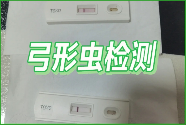 感染弓形虫后通常无症状