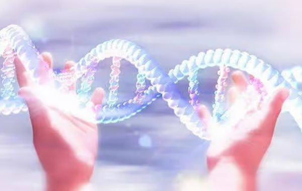 三代试管可以完全筛选多基因遗传病吗?