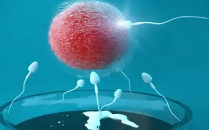 结扎后还能要孩子吗？试管移植的可能性全解析
