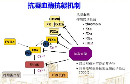 孕早期凝血六项是检查什么的，结果异常有何影响