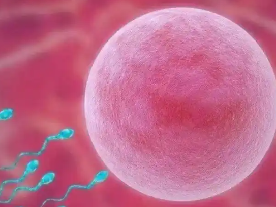 要根据个人情况选择方案