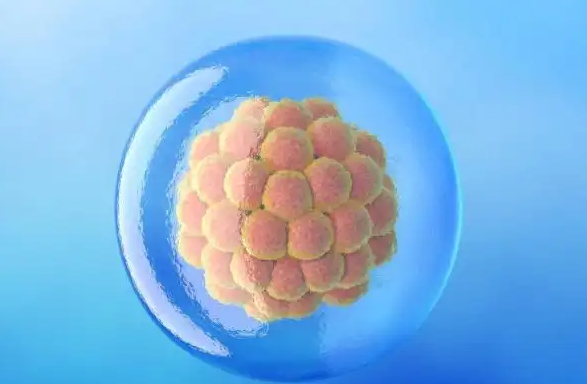 一级胚胎着床率高
