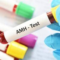 AMH0.06赴美试管：可行性与指南