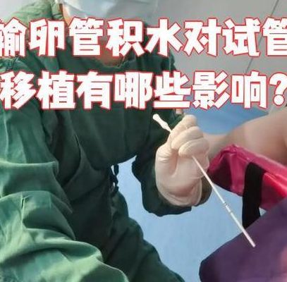 输卵管积水影响试管移植成功率吗女性？过来人帮你梳理试管费用明细