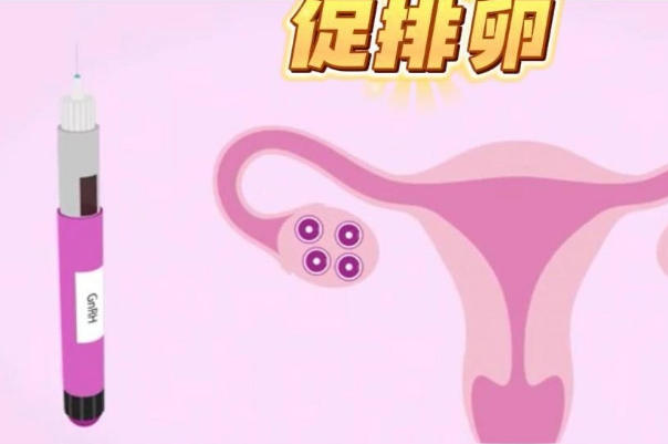 药物会影响卵巢的发育
