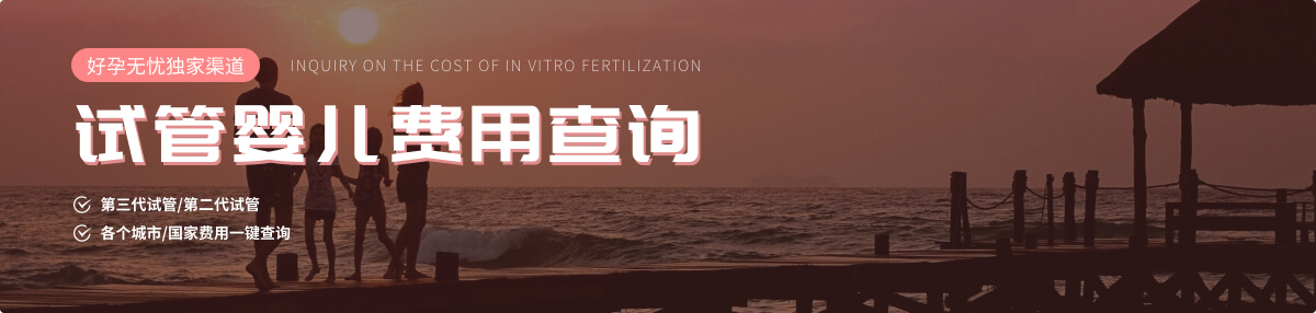 试管婴儿费用查询