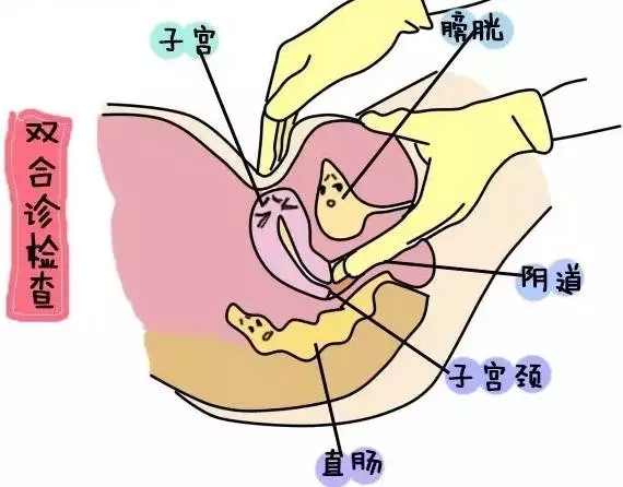 子宫后位怀孕姿势图片