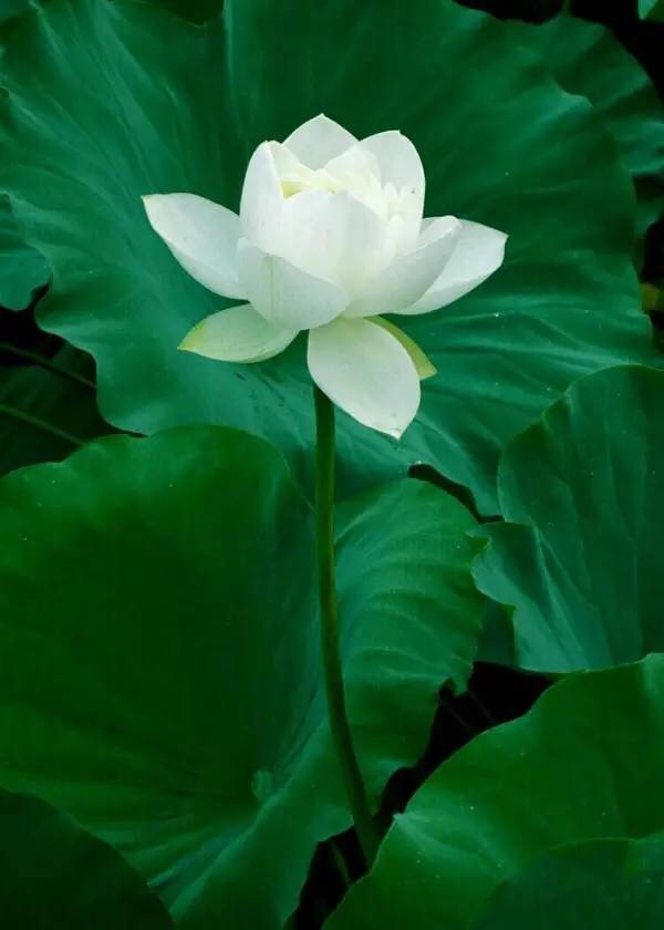 实属不易,坚持就是胜利