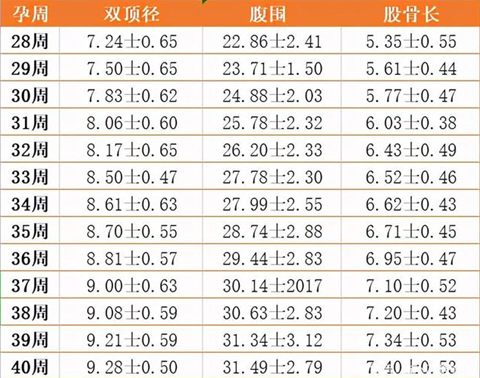 14周顶臀径标准对照表图片