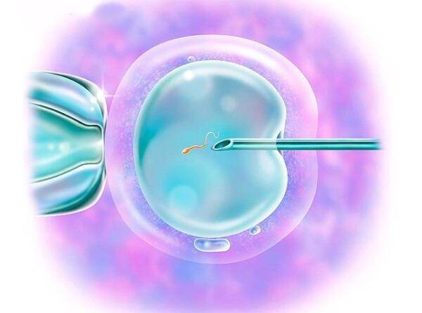 试管婴儿第三代移植前筛查对胚胎有影响吗 三代试管婴儿会对胚胎有损伤吗